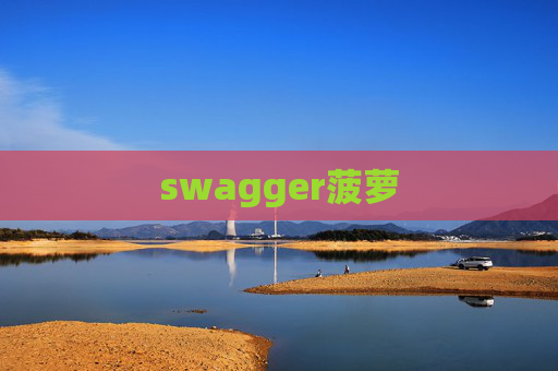 swagger菠萝